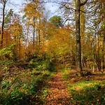 Gaestezimmer Fuer 3 Personen Prázdninový dům Bockenem