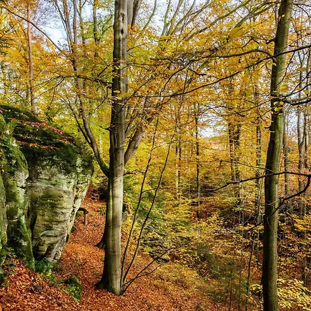 Casa de Férias Gaestezimmer Fuer 3 Personen
