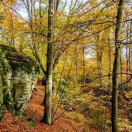 Gaestezimmer Fuer 3 Personen * Bockenem