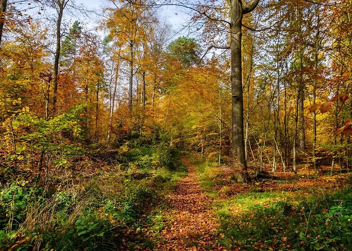 Gaestezimmer Fuer 3 Personen Nyaraló Bockenem